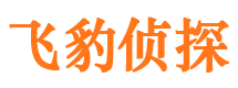 桓仁市私人侦探